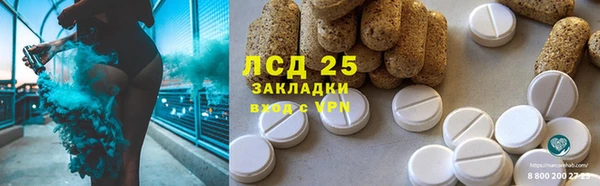 стаф Каменка