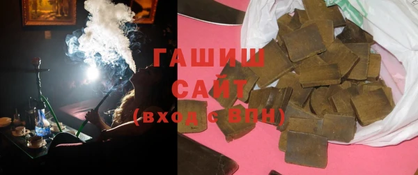 стаф Каменка
