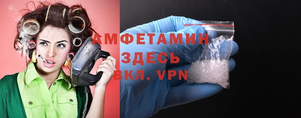 стаф Каменка