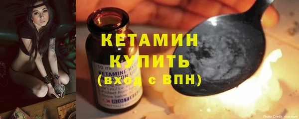 стаф Каменка