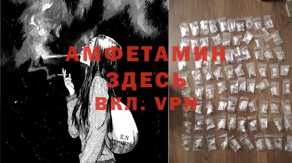 стаф Каменка