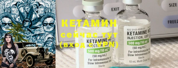 стаф Каменка