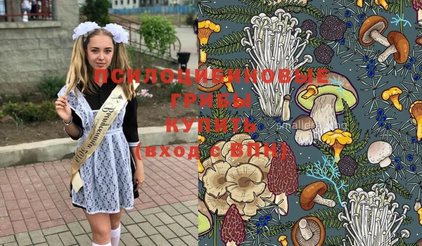 дистиллят марихуана Каменногорск