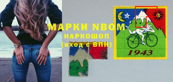 стаф Каменка
