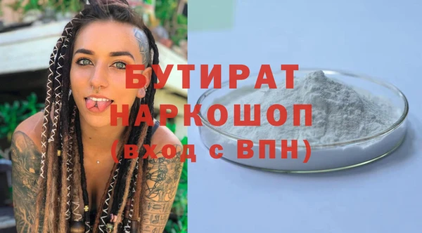 стаф Каменка