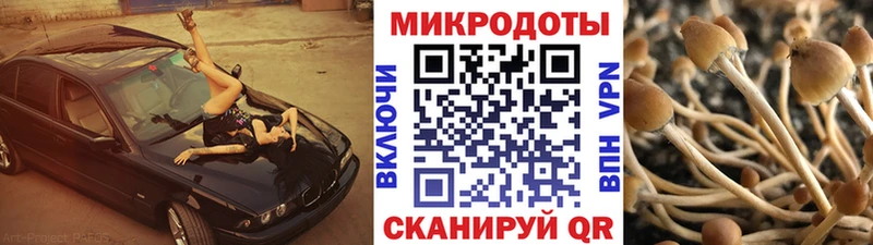 Галлюциногенные грибы ЛСД  Купить закладки  Ужур 